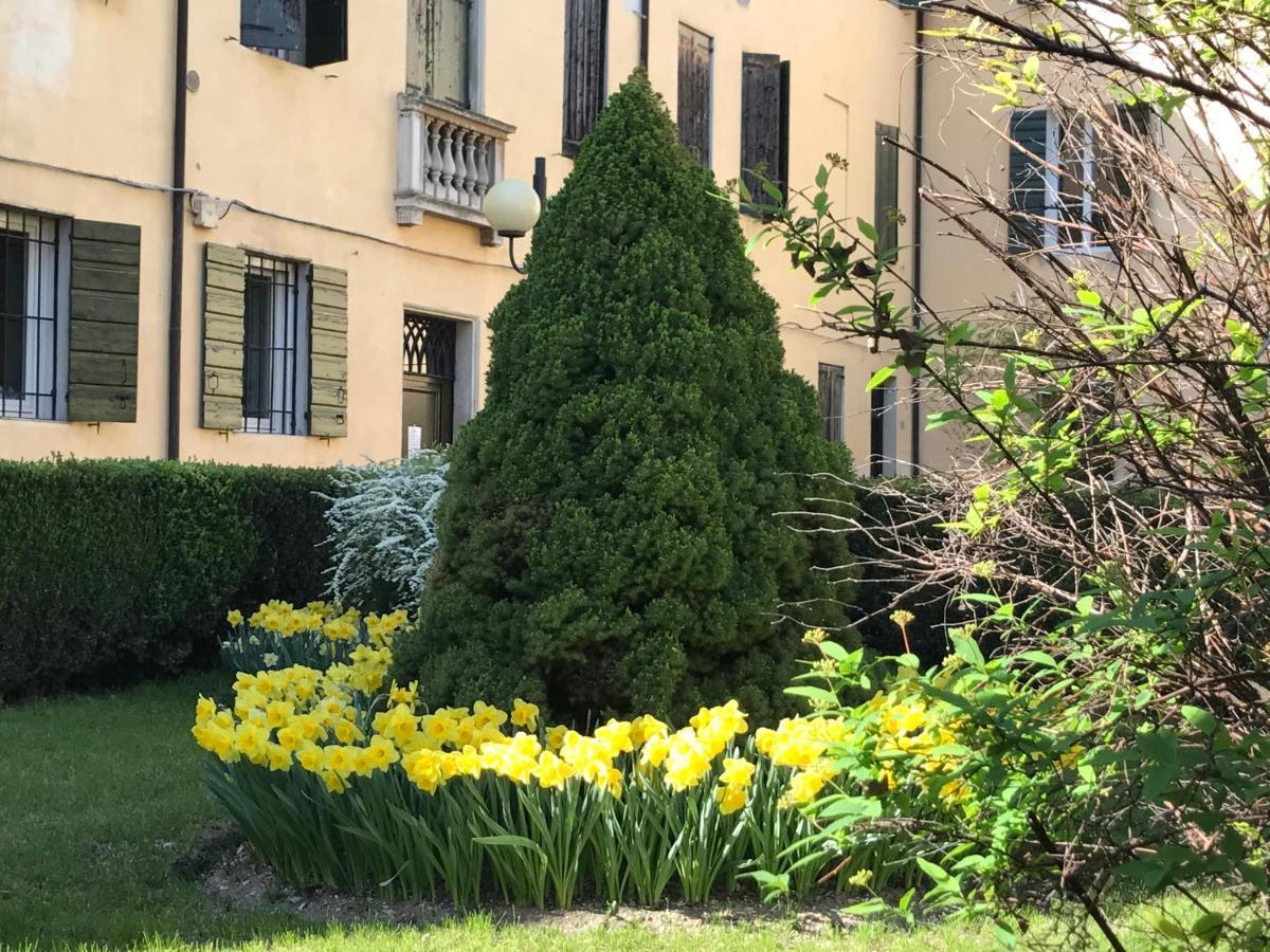 Apartament Catoo Dimora Di Design Park In Palazzo Nobiliare Al Duomo Padwa Zewnętrze zdjęcie