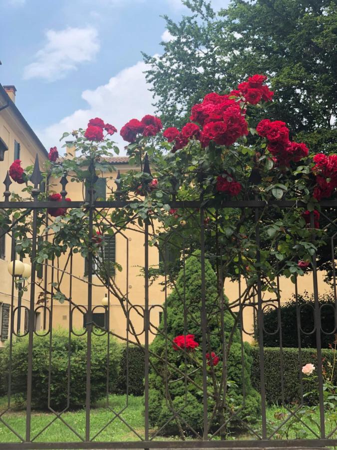 Apartament Catoo Dimora Di Design Park In Palazzo Nobiliare Al Duomo Padwa Zewnętrze zdjęcie
